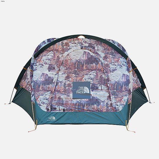 אוהל ל- 3 אנשים  The North Face Homestead Domey 3