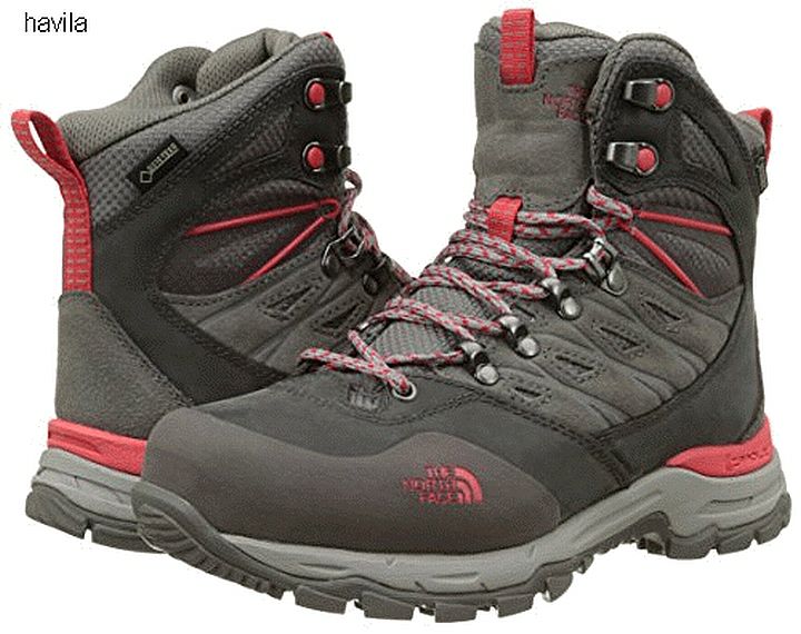 נעל הליכה לנשים TNF W Hedgehog Trek GTX